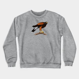 Wolf Hawk Crewneck Sweatshirt